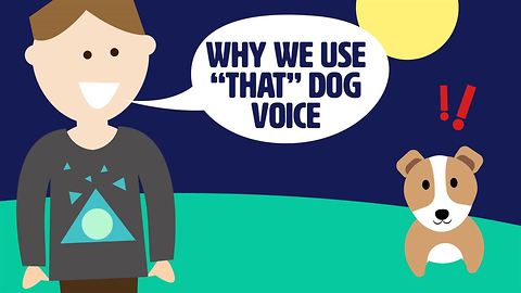 Baby voices: Fun for you, great for training your dog!