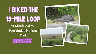 I Had Fun Biking on the 15-Mile Loop at Shark Valley in the Everglades National Park