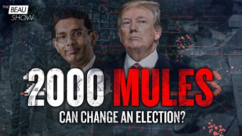 Can 2000 Mules Change an Election? | The Beau Show | Trailer