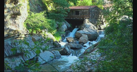 Rhythms of Flow: Captivating Waterfalls and Serene Rivers