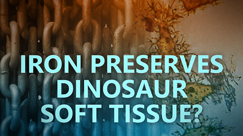 Iron preserves dinosaur soft tissue?