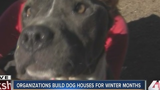 Volunteers build dog houses for neglected animals