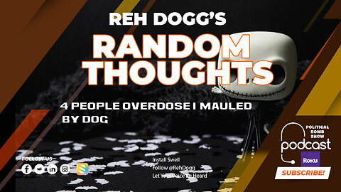 4 People Overdose 1 Mauled by Dog