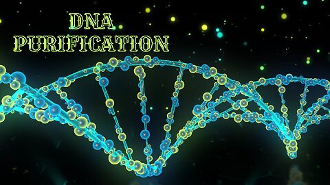 💫 Absolute purification of human DNA 💫 Total DNA balance 💫