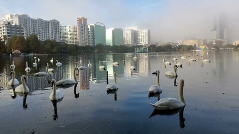 Foggy Morning at Lake Eola in Orlando, FL Winter 2021