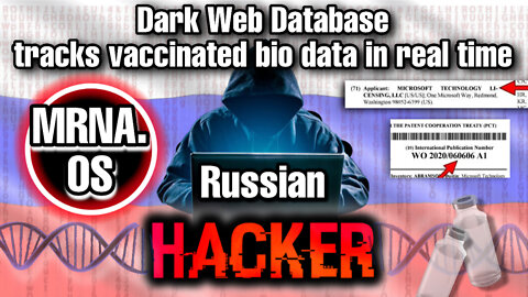 Russian hacker accesses vaccinated bio data in real time