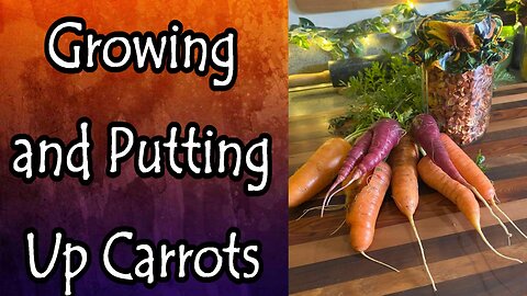 Growing and Putting Up Carrots