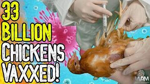 BIRD FLU HOAX: 33 BILLION CHICKENS VAXXED! - Avoid The Pharma Poisoned Food Supply!