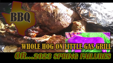 Whole Hog on Little Grill