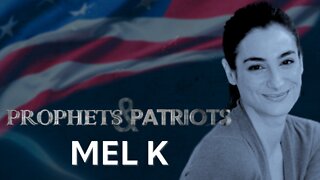 Prophets and Patriots - Episode 14 with Mel K and Steve Shultz