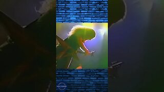 Pantera - Walk - Music Rewind Favorite Clips