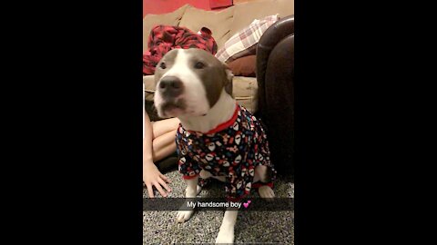 Barnes Christmas pjs