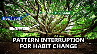 The Secret to Habit Change | Pattern Interruption