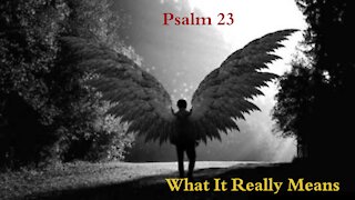 The Bible Study with Mimi - Psalm 23