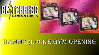 Pokemon Hammerlocke Gym Pin Collection Opening Champion's Path PKM