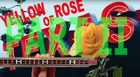 How to Play Yellow Rose of Texas on a Tremolo Harmonica with 24 Holes Part 2