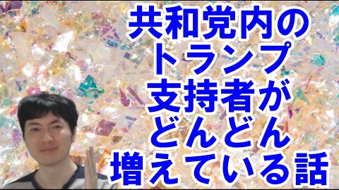 【アメリカ】意外な行動を見せるトランプ・マスク氏と世界を混乱に陥れるお困りの勢力 その2