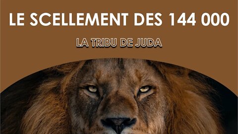 Le scellement des 144 000 : La tribu de Juda - Olivier Dubois