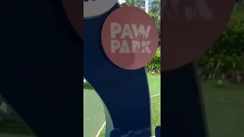 Paw Park in Manila