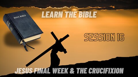 Learn the Bible in 24 Hours (Hour 16) Jesus Final Week & The Crucifixion