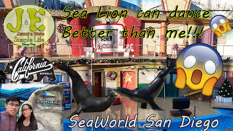 Sea Lion Show SeaWorld San Diego