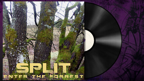 Split - Enter the Forrest [Chilled Dubstep]