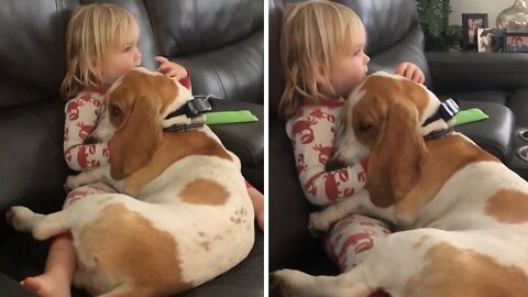 Little Boy And Basset Hound Are Definitely Best Friends