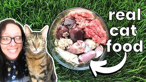 How to make homemade cat food FULL GUIDE