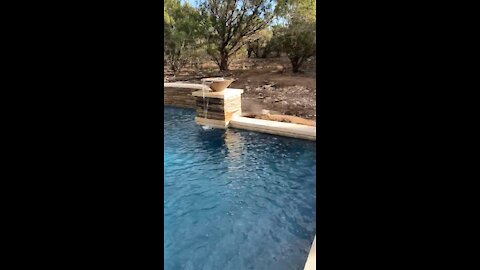 Pool & Spa with water & fire features - Boerne, Tx