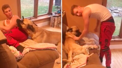 Watch how this dog reacts when you take his place on the couch