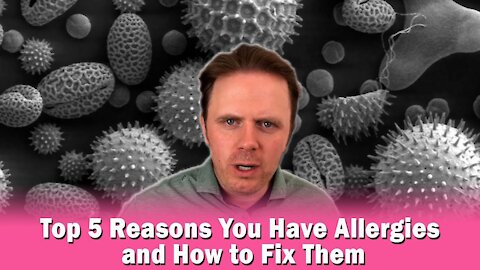 Top 5 Reasons You Have Allergies and How to Fix Them