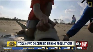 TODAY | FWC to discuss regulations for shark fishing