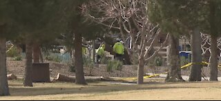 Landscapers busy with clean up after weekend windstorm
