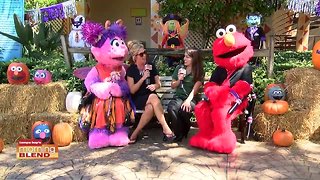 Busch Gardens | Morning Blend