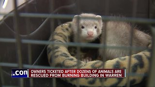 Dozens of animals found in home after fire