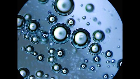 Microbubbles in History and as Application in biotechnology - Intro microphotographs