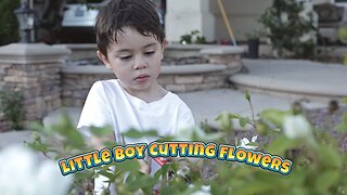 Little Boy Cutting Flowers for Mom