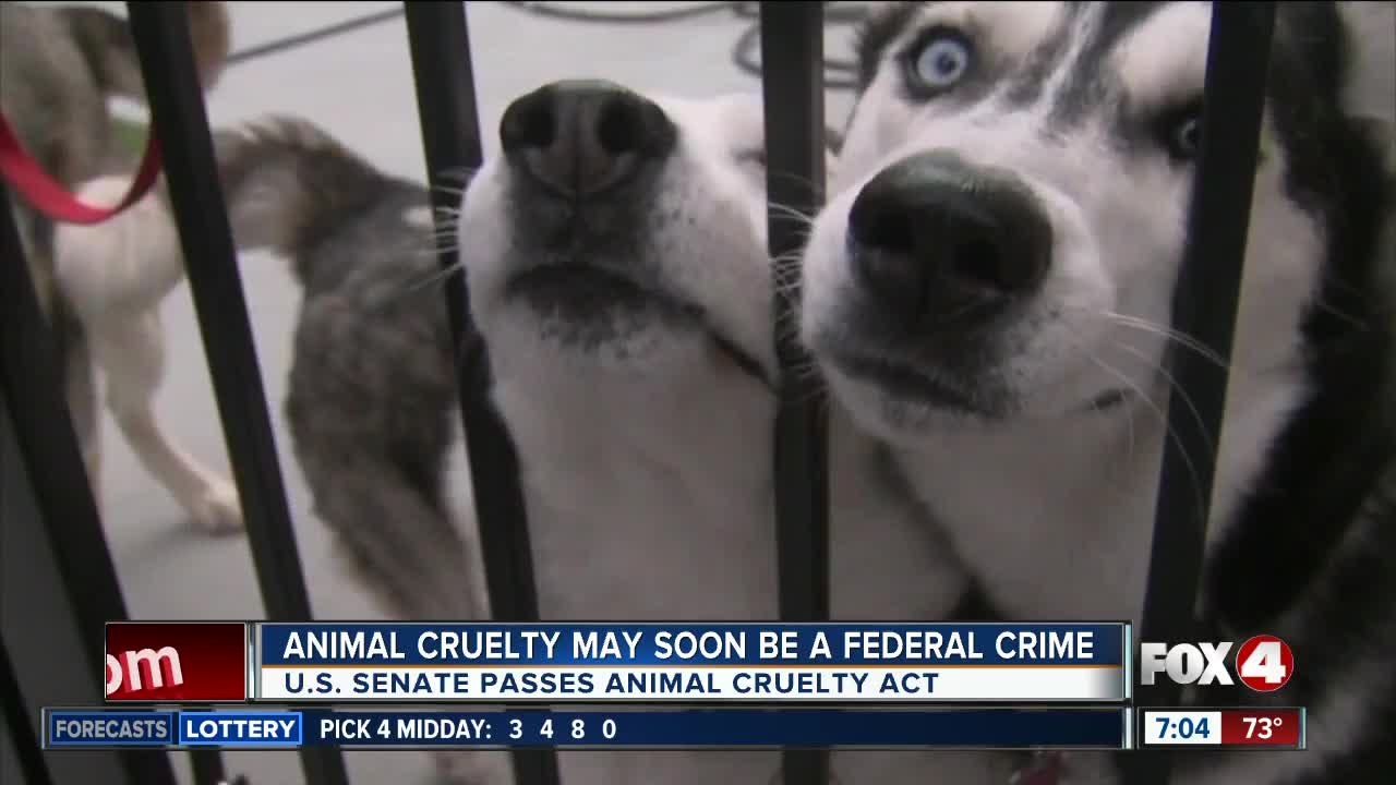 Senate passes new animal cruelty act