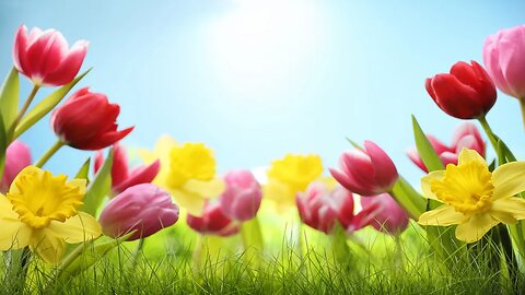 Relaxing Easter Music – Tulip Vale | Soothing, Peaceful