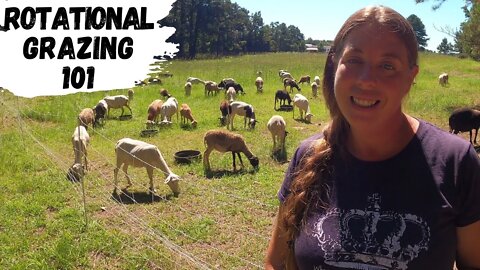 Beginner's Guide To Rotational Grazing