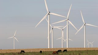 Renewable Energy Is Making More And More Sense