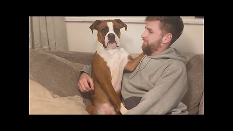 WORLD BEST FUNNIEST🤣 Dog vs men 🤣 funny video> Don't Try Laughing 🤣 clips