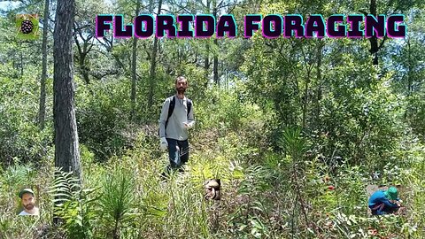 Naturevore: FLORIDA FORAGING Walk #30 (May 28): Blackberry, Blueberry, Boletes, Spiders + New Guest!