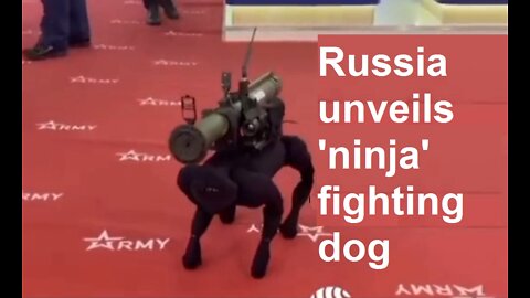 Russia unveils 'ninja' fighting dog