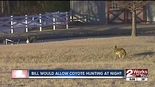 Bill would allow coyote hunting at night