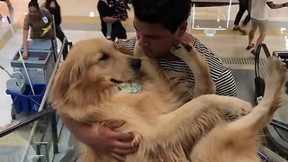 Scared Dog Cradled During Escalator Ride