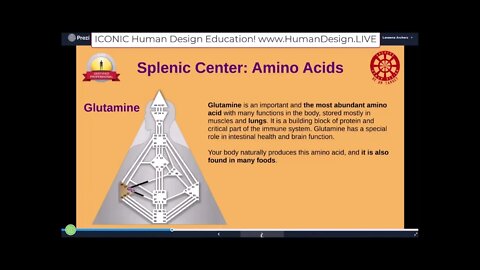 Gates 32 and 44 Amino Acids in the Splenic Center