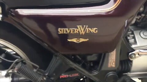 1982 Honda Silver Wing 500cc Water Cooled by Mike Green