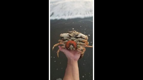 Crabbing is fun