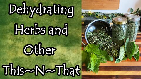 Dehydrating Herbs and Other This~N~That